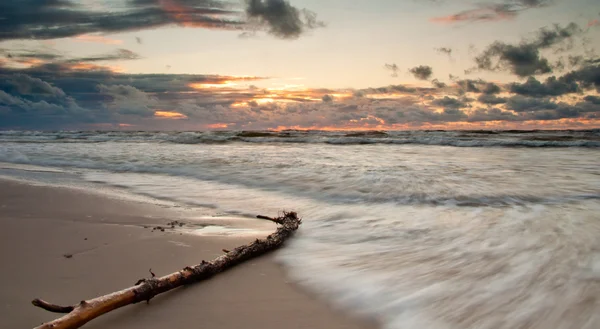 Salida del sol en la playa con rama en primer plano — Foto de Stock