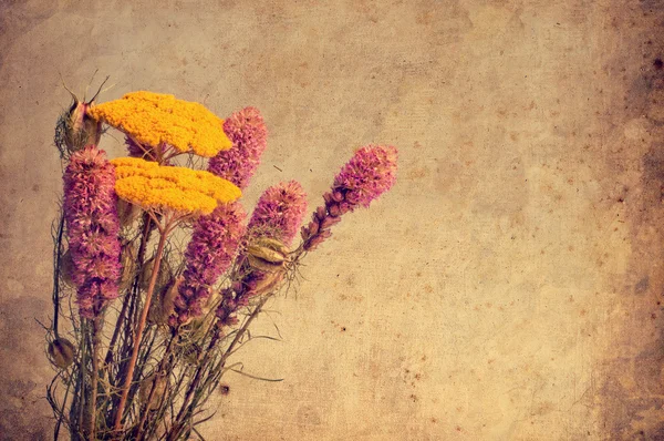 花と織り目加工の古い紙の背景 — ストック写真