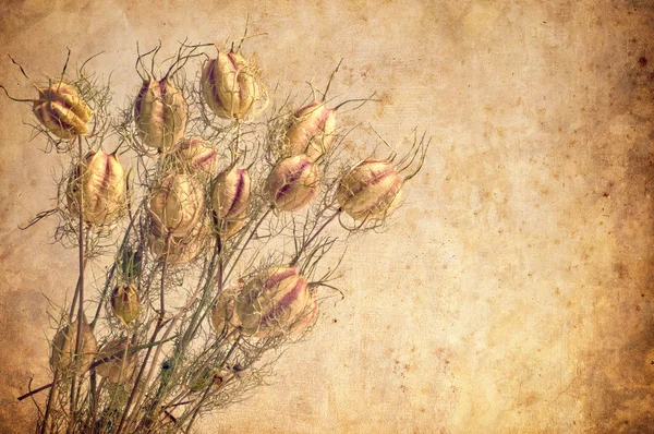 Textured old paper background with flowers — Stock Photo, Image