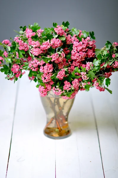 Decoração. Flores cor-de-rosa em placas brancas — Fotografia de Stock