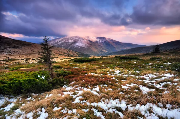 Evening in the mountains — Stock Photo, Image