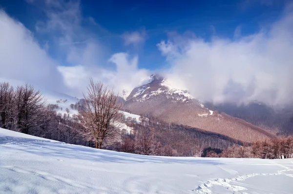 Matin glacial dans les montagnes — Photo