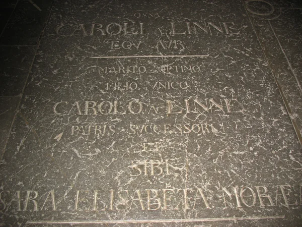 Grób Karola Linneusza wewnątrz domkyrkan w Uppsali — Zdjęcie stockowe
