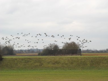 Kırsal kış aylarında