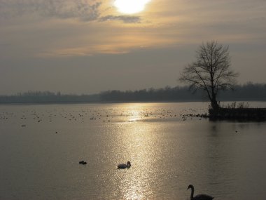 Gölet ve gündoğumu kış aylarında