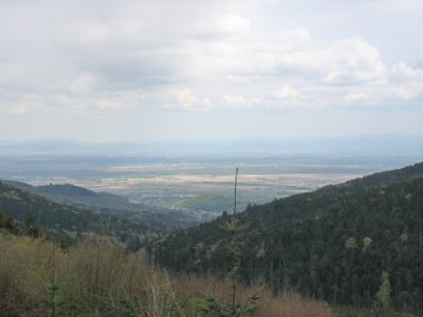 Alsace düz görünüm 