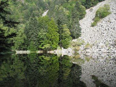 vosges gölde cam 