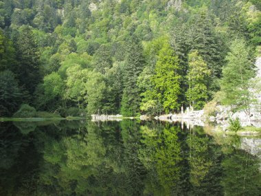vosges gölde cam 