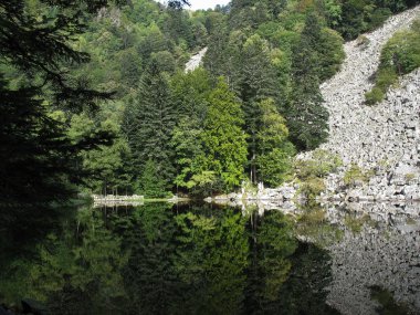 vosges gölde cam 