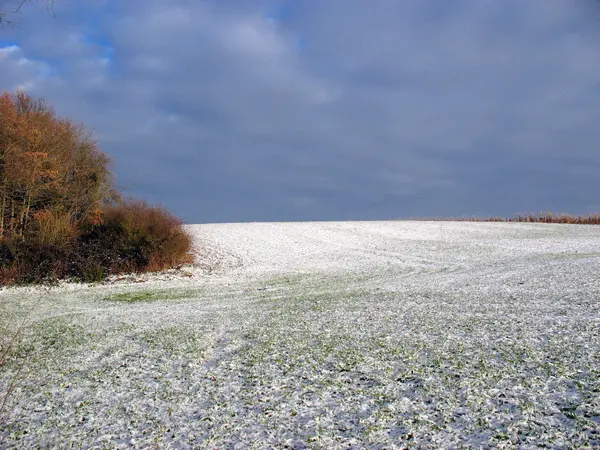 Снежное поле зимой — стоковое фото