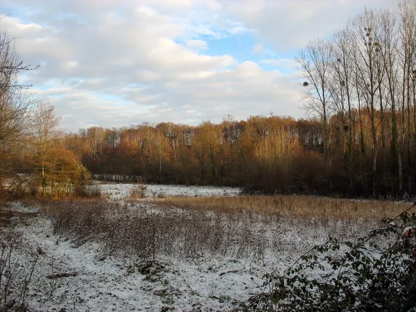 Zasněžované pole v zimě — Stock fotografie