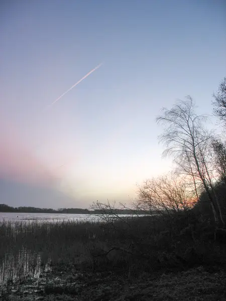 Камышовое ложе у озера зимой во Франции — стоковое фото