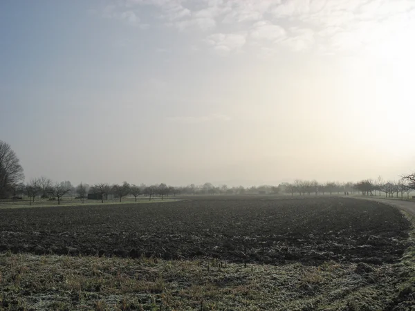Weinberg und Landschaft im Winter — Stockfoto