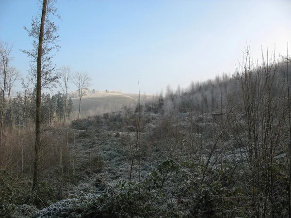 Woods ve kırsal kış aylarında — Stok fotoğraf