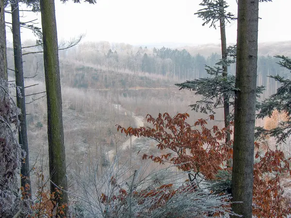 Woods ve kırsal kış aylarında — Stok fotoğraf