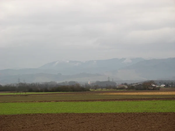 Landsbygden under vintern — Stockfoto