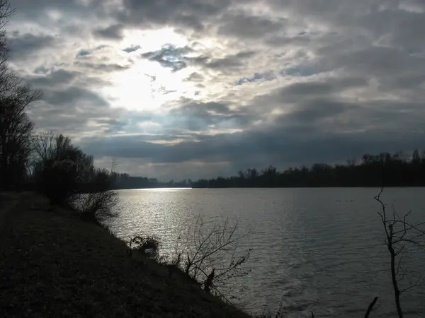 Sonnenlicht auf dem Rhein im Winter — Stockfoto