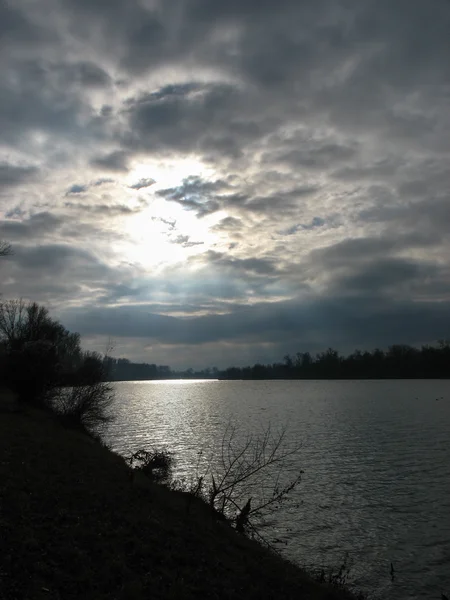 Солнечный свет на реке Рейн зимой — стоковое фото