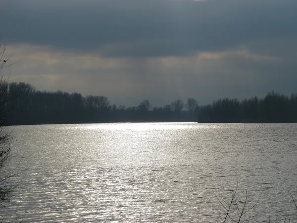 La luz del sol en el río Rin durante el invierno —  Fotos de Stock