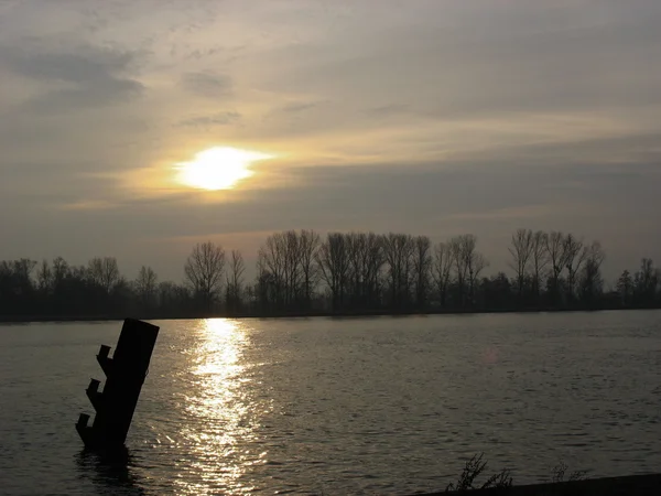 Закат на реке Рейн зимой — стоковое фото