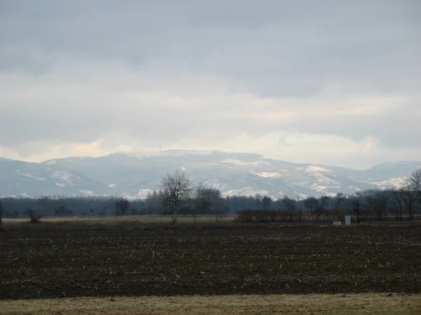 Campo durante el invierno —  Fotos de Stock