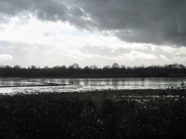 Vijver in de winter — Stockfoto