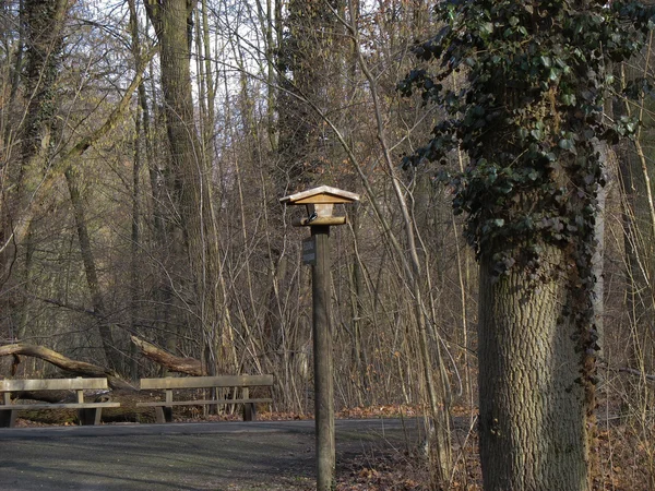 Nichoir dans la forêt — Photo