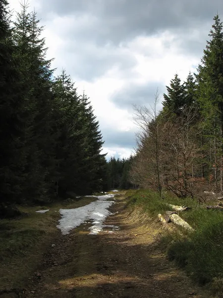 Landscape during spring in the Vosges — Stock Photo, Image