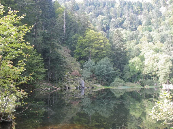 Lago de vidro nos Vosges — Fotografia de Stock