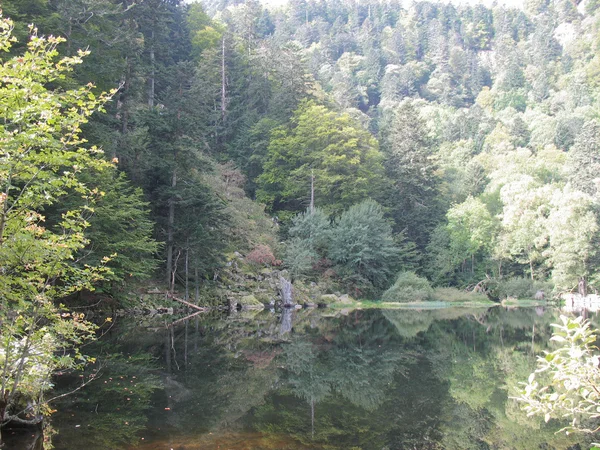 vosges gölde cam 