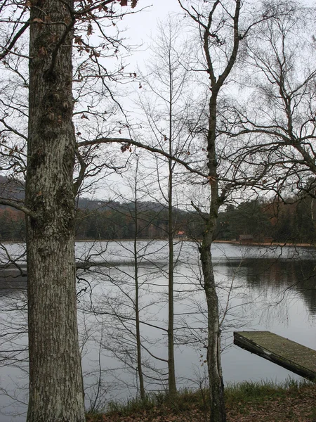 Pontone in legno e lago nei Vosgi — Foto Stock