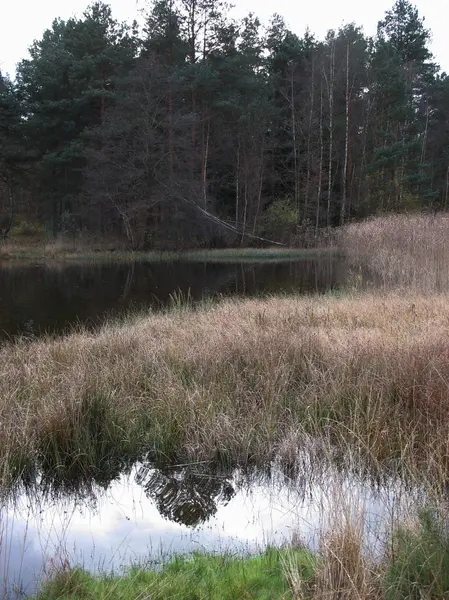 Lago durante l'inverno — Foto Stock