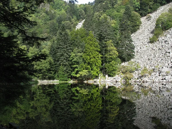 Op zoek-glas lake in de Vogezen — Stockfoto