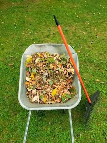 Arabası Kuru Yapraklarla Dolu Yapraklardan Çimleri Temizliyorum Boşluğu Kopyala — Stok fotoğraf
