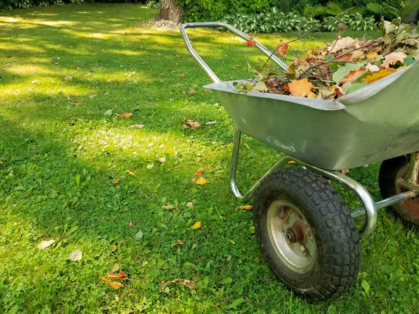 Arabası Kuru Yapraklarla Dolu Yapraklardan Çimleri Temizliyorum Boşluğu Kopyala — Stok fotoğraf