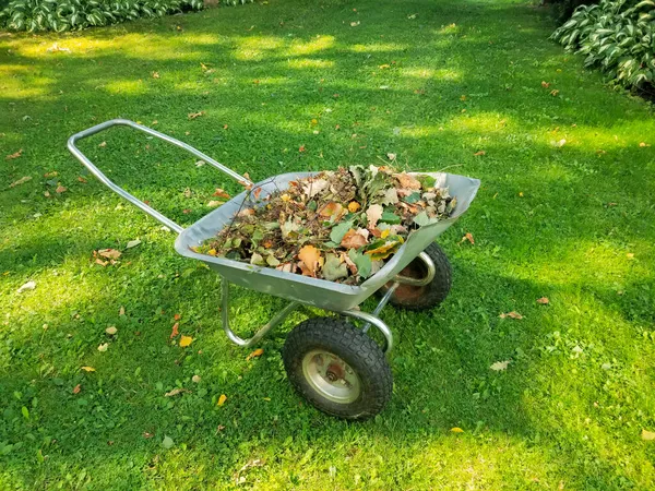 Arabası Kuru Yapraklarla Dolu Yapraklardan Çimleri Temizliyorum Boşluğu Kopyala — Stok fotoğraf