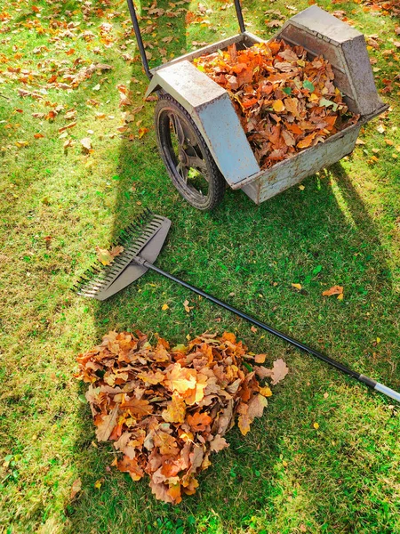 Pile Feuilles Automne Avec Râteau Ventilateur Sur Pelouse Automne Jardinage — Photo