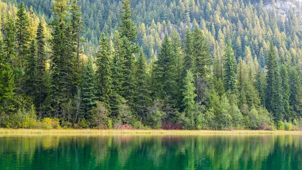 Beleza na natureza — Fotografia de Stock