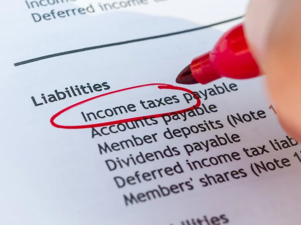 Impostos sobre o rendimento — Fotografia de Stock