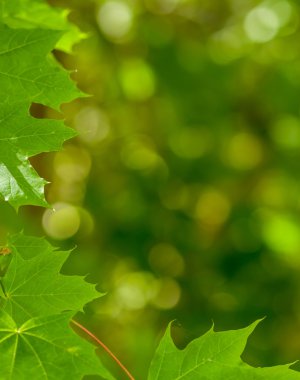 soyut doğası sınır kalkıyor