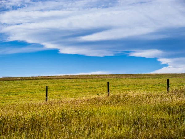 Paysage des Prairies — Photo