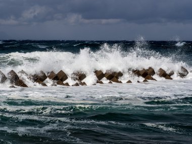 Japonya tsunami bariyer