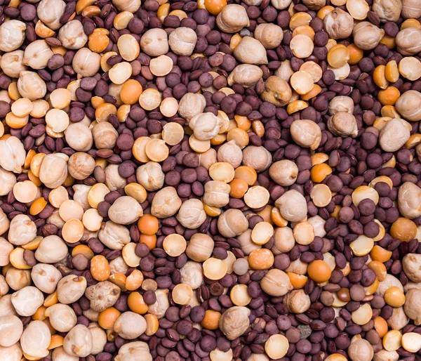 鹰嘴豆和小扁豆 — 图库照片