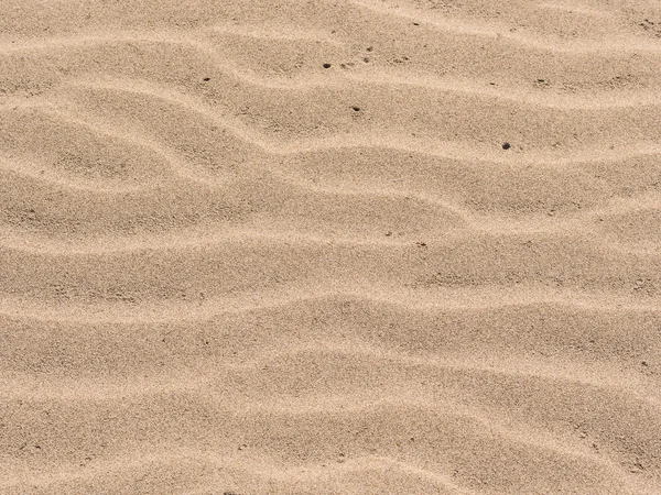 Ondulations de sable fond — Photo