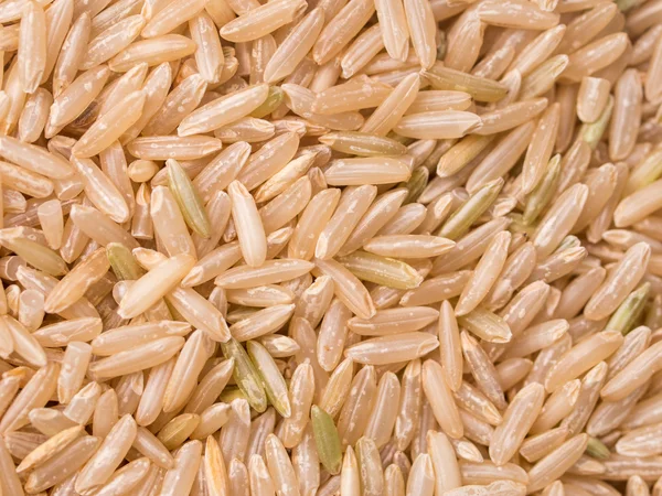 갈색 쌀 — 스톡 사진