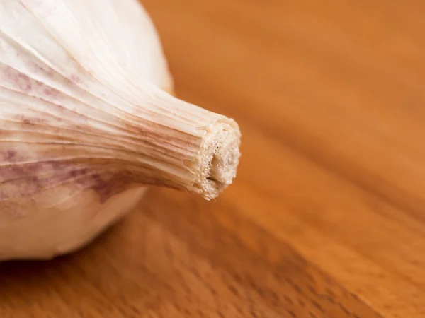 Garlic bulb — Stock Photo, Image