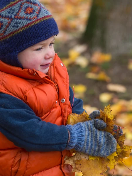Boy carrying fall leaves — Stock Photo, Image