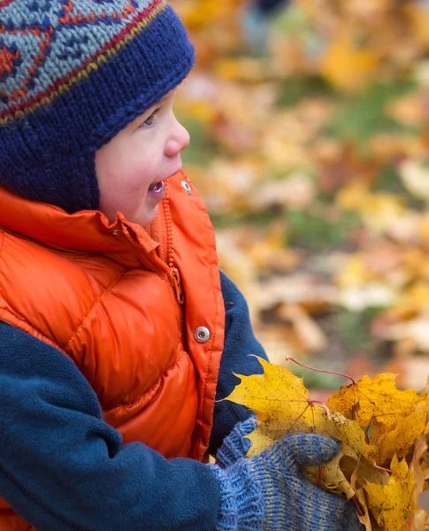 Мальчик играет осенними листьями — стоковое фото
