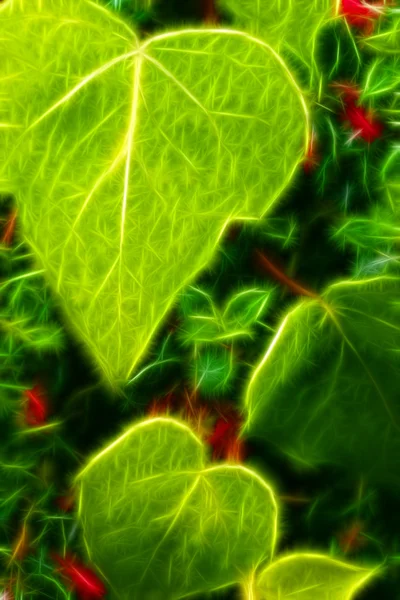 Regen auf grünen Blättern — Stockfoto