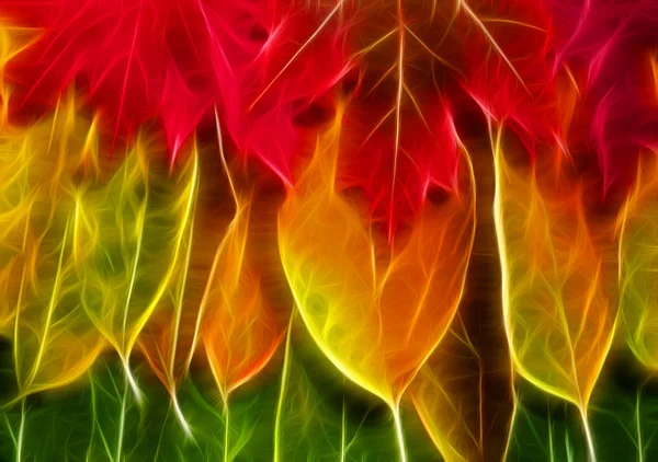 Herbst Farben Hintergrund — Stockfoto